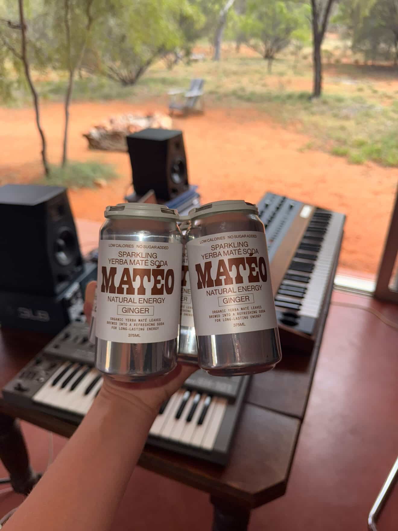 Ginger Yerba Mate Bottles